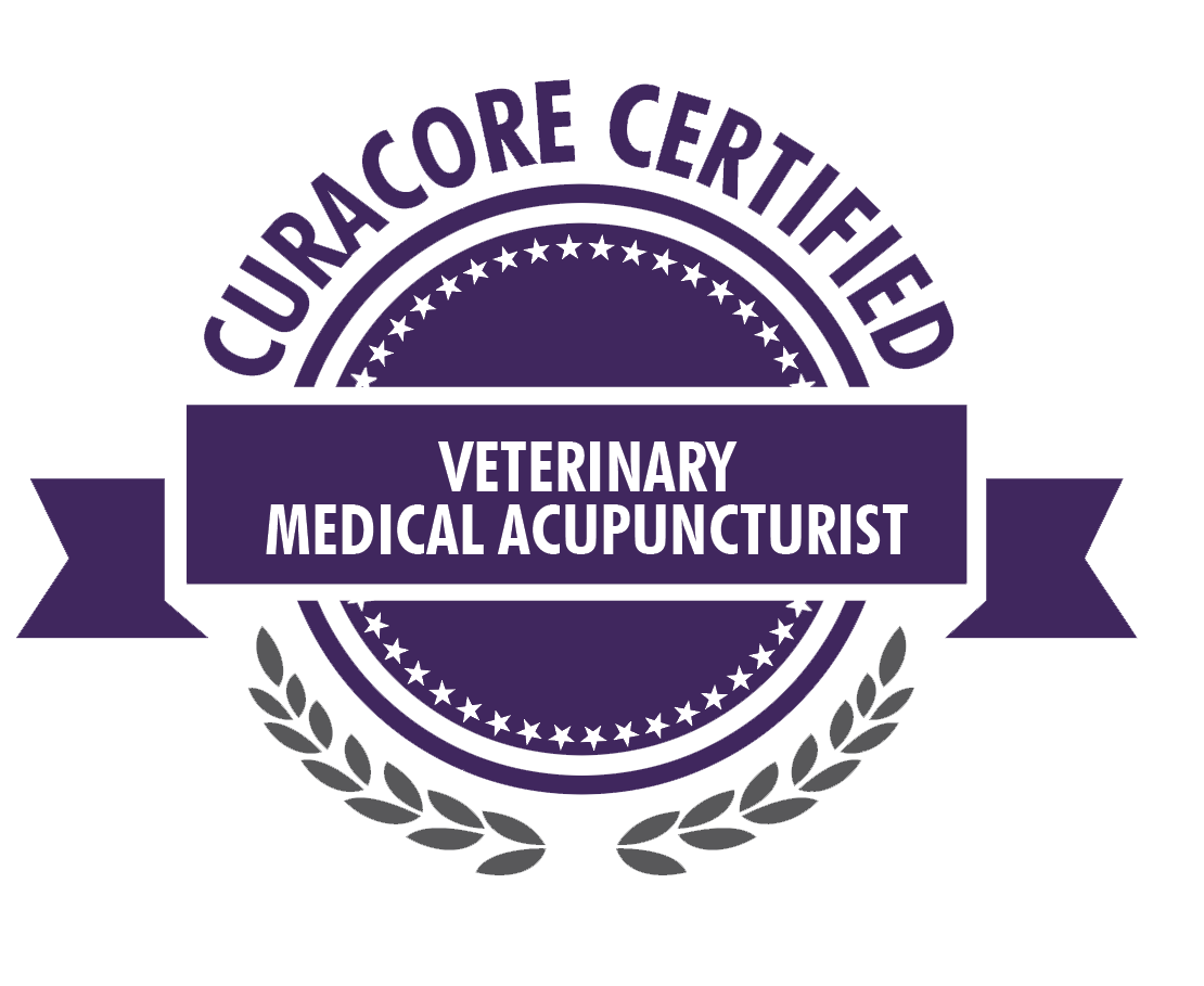 cVMA Certification Badge